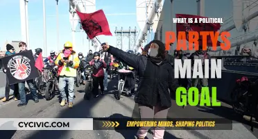 Understanding Political Parties: Their Core Objectives and Main Goals