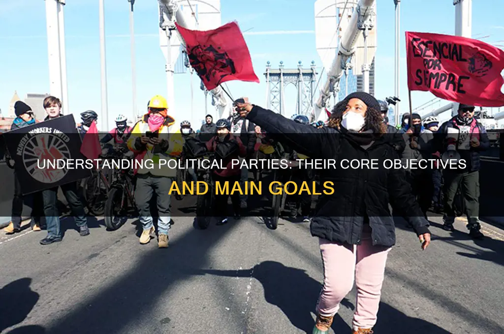 what is a political partys main goal