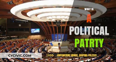 Understanding Political Parties: Roles, Structures, and Influence Explained