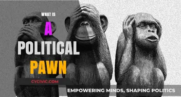 Understanding the Role of a Political Pawn in Modern Politics