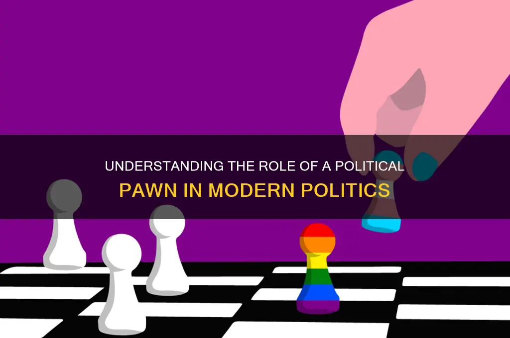 what is a political pawn
