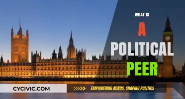 Understanding Political Peers: Roles, Influence, and Significance in Governance