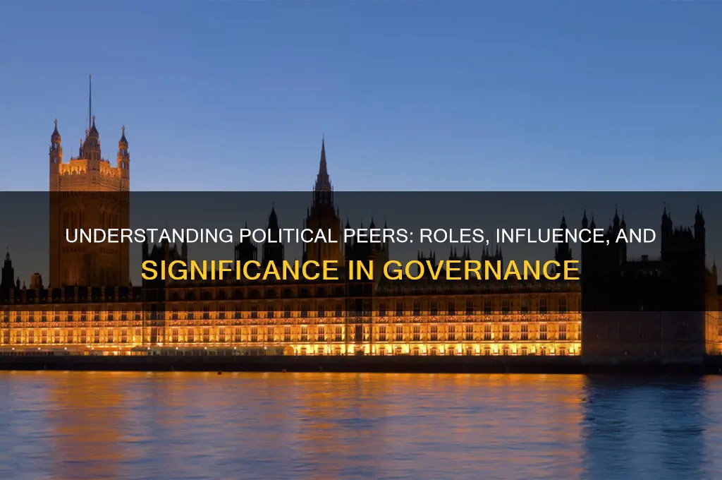 what is a political peer