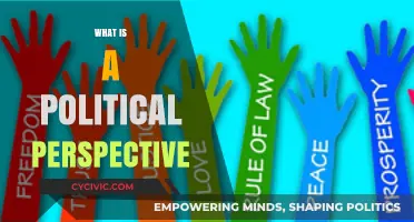Understanding Political Perspectives: Shaping Views on Society and Governance