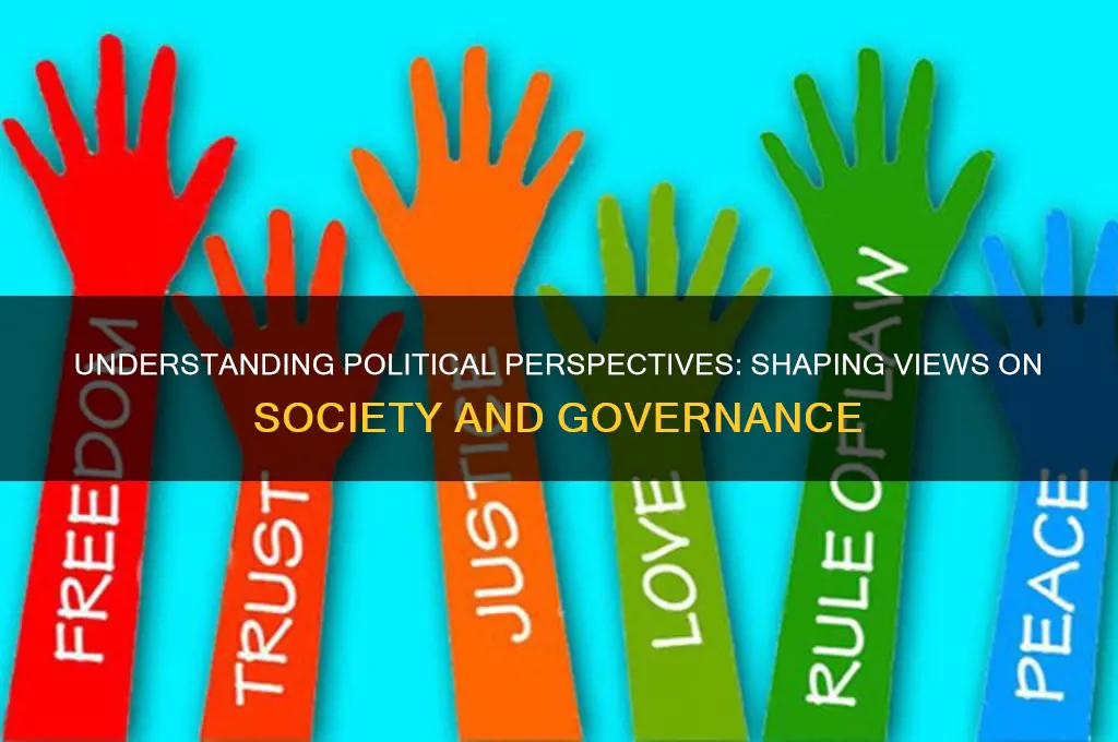 what is a political perspective