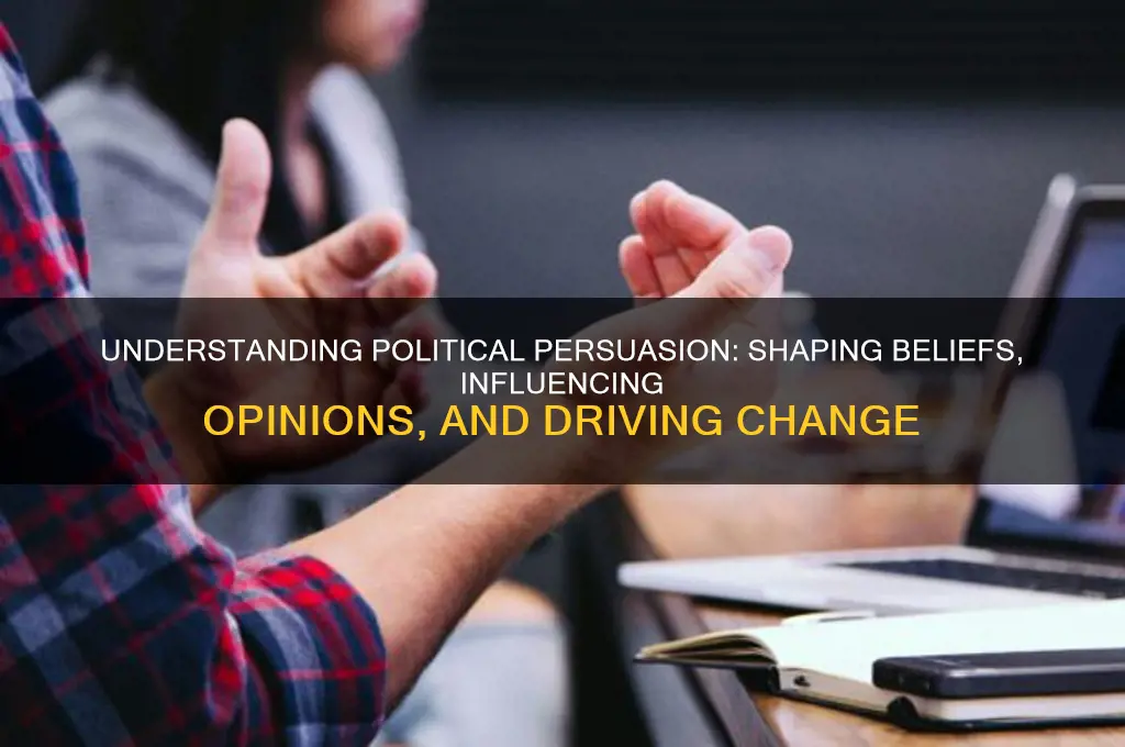 what is a political persuasion