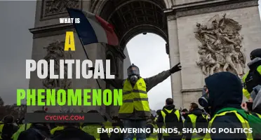 Understanding Political Phenomena: Key Concepts and Real-World Examples Explained