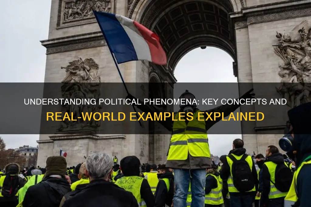 what is a political phenomenon