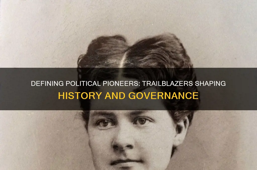 what is a political pioneer