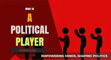 Understanding the Role and Influence of a Political Player