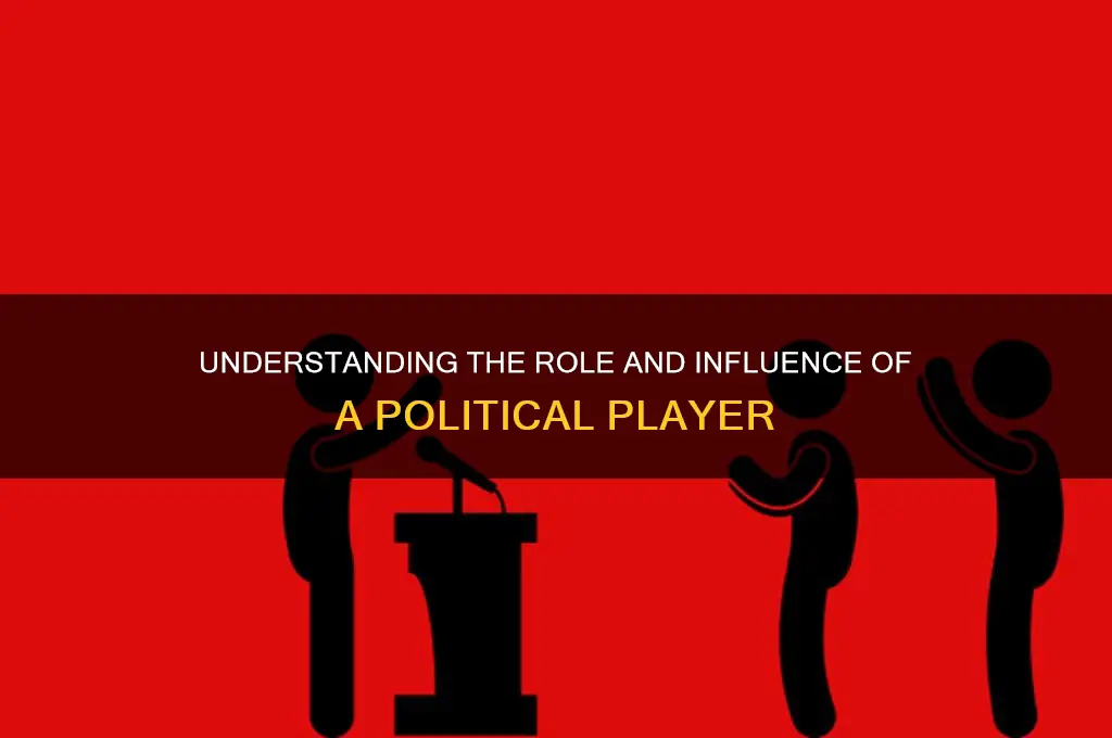 what is a political player