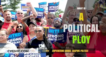 Understanding Political Ploys: Tactics, Strategies, and Hidden Agendas Explained