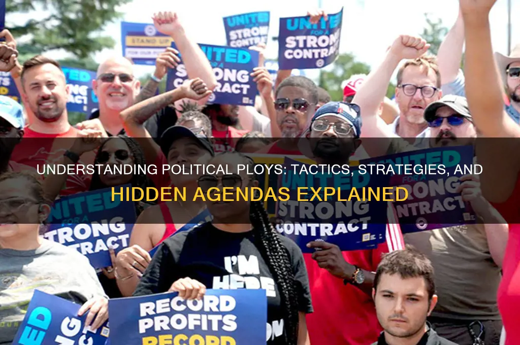 what is a political ploy