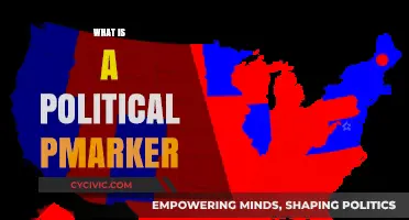 Understanding Political Markers: Key Indicators Shaping Public Opinion and Policy