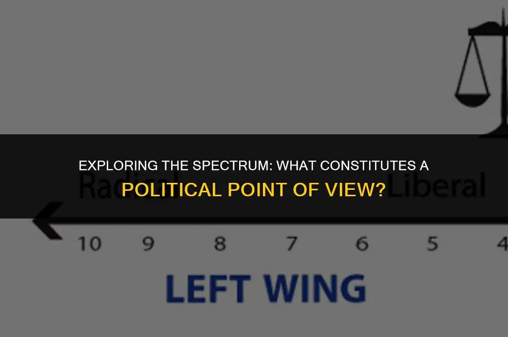 what is a political point of view