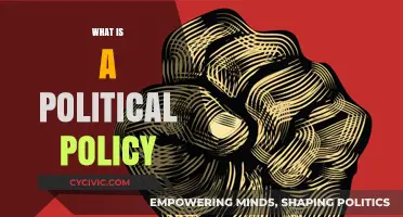 Understanding Political Policies: Definition, Purpose, and Real-World Impact