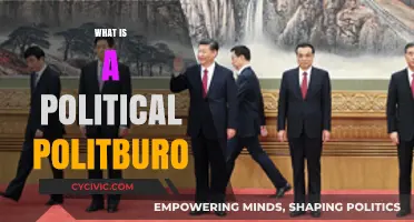 Understanding the Role and Power of a Political Politburo