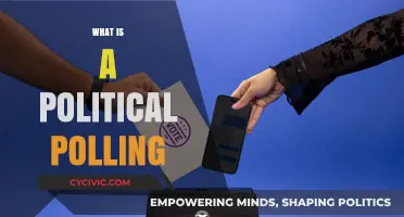 Understanding Political Polling: Methods, Accuracy, and Impact on Elections