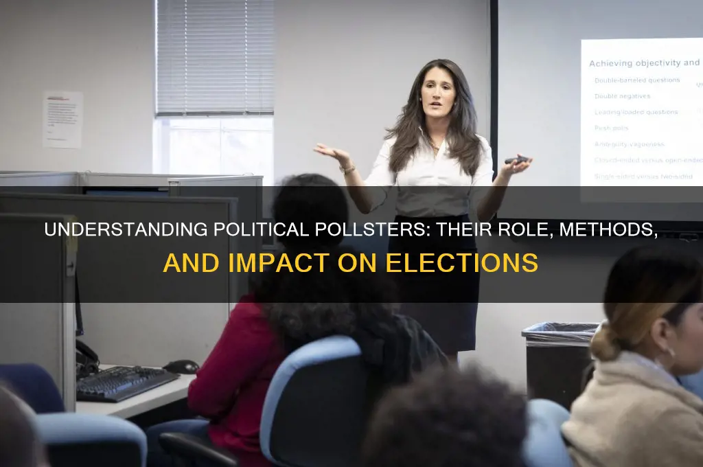 what is a political pollster