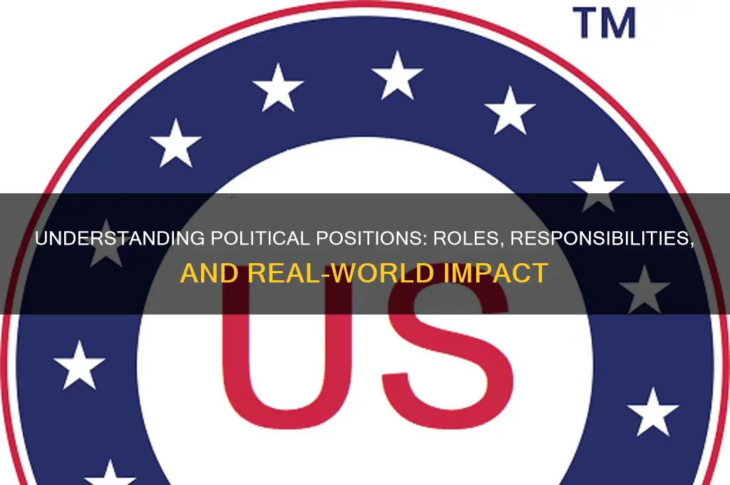 what is a political position