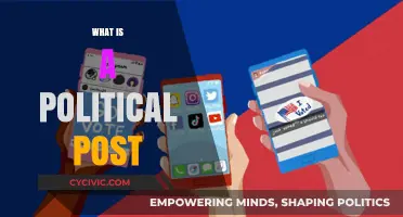 Understanding Political Posts: Content, Impact, and Social Media Influence