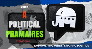 Understanding Political Primaries: Key Process in Shaping Party Candidates