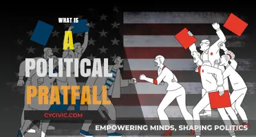 Understanding Political Pratfalls: Blunders, Consequences, and Public Perception