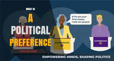 Understanding Political Preferences: Shaping Beliefs, Values, and Voting Choices