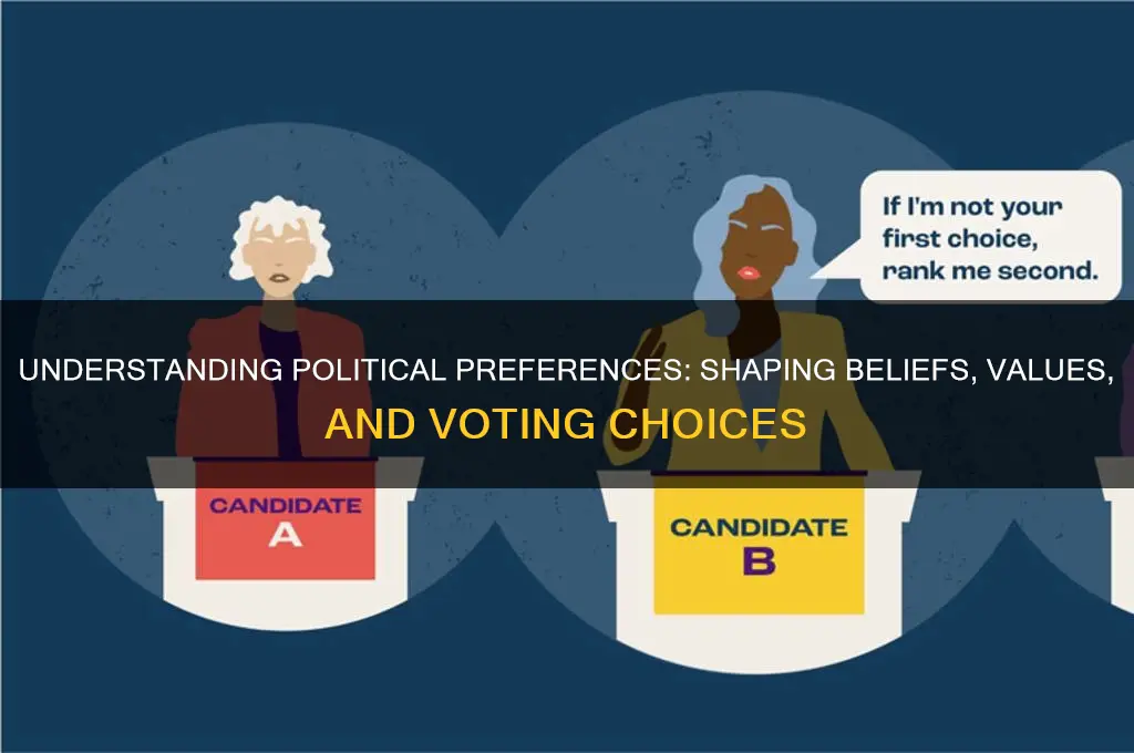 what is a political preference