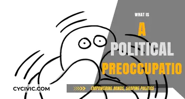 Understanding Political Preoccupation: Causes, Impact, and Societal Implications