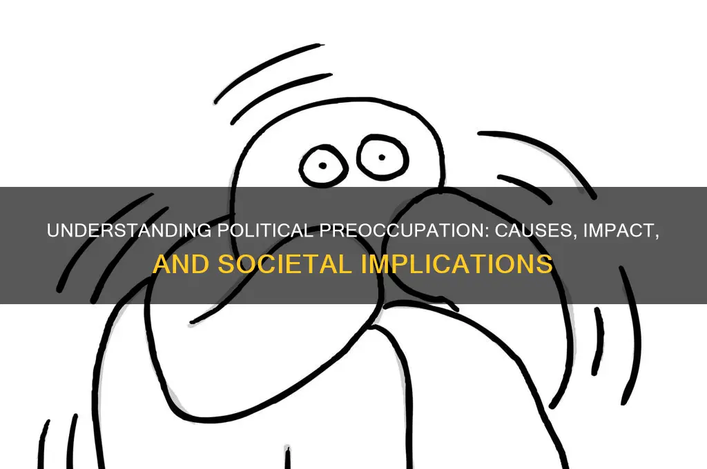 what is a political preoccupation