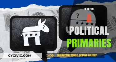 Understanding Political Primaries: Key Steps in the Election Process