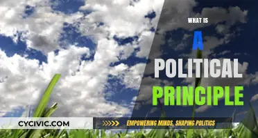 Understanding Political Principles: Core Values Shaping Governance and Society