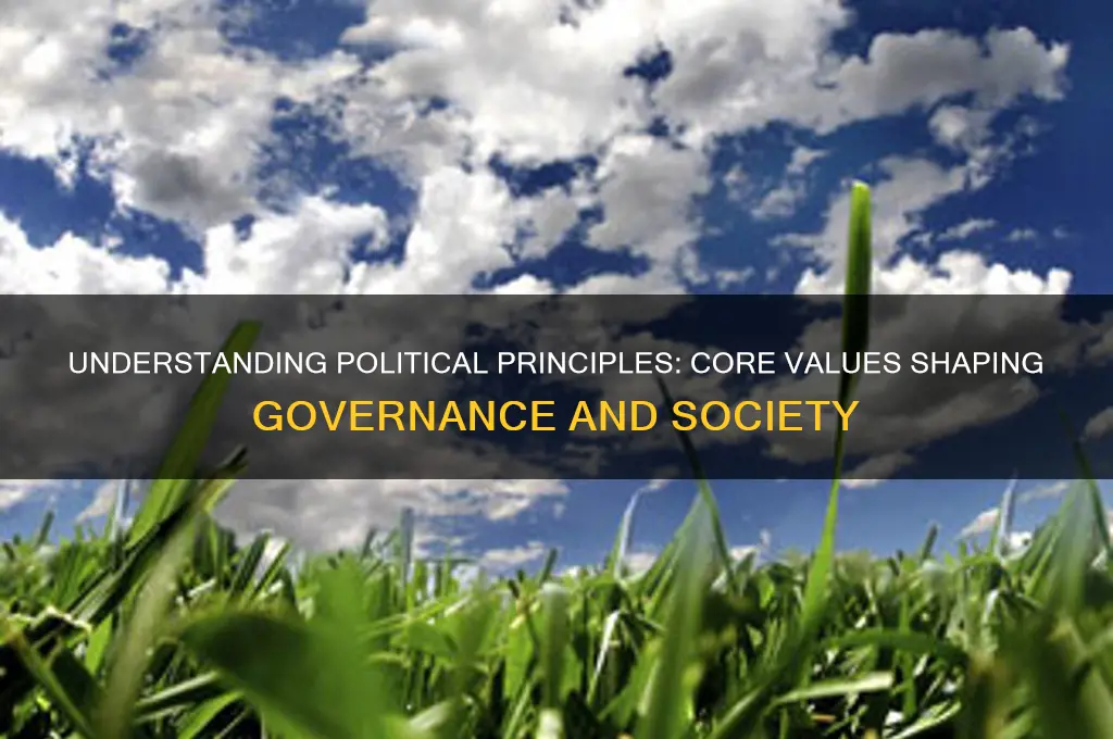 what is a political principle