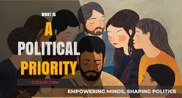 Understanding Political Priorities: Defining What Matters Most in Governance