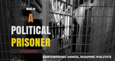 Understanding Political Prisoners: Definitions, History, and Global Impact