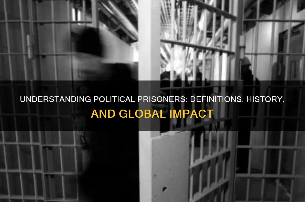 what is a political prisoner