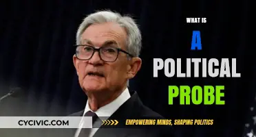 Understanding Political Probes: Definition, Purpose, and Real-World Implications