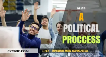 Understanding the Political Process: A Comprehensive Guide to Civic Engagement