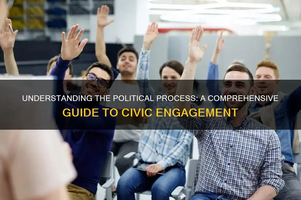 what is a political proccess