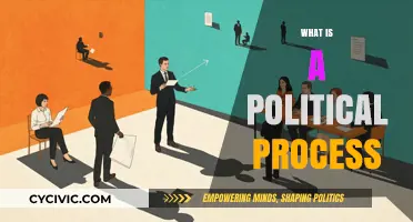 Understanding the Political Process: Mechanisms, Actors, and Impact