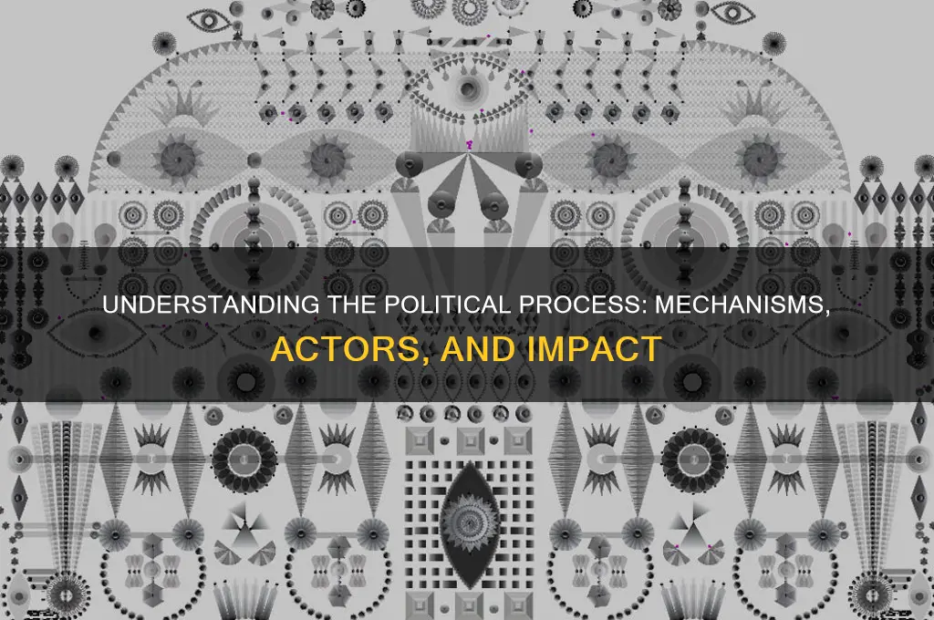 what is a political process