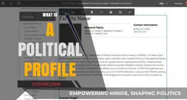 Understanding Political Profiles: Key Components and Their Impact on Governance