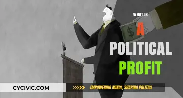 Understanding Political Profit: Power, Influence, and Financial Gains Explained