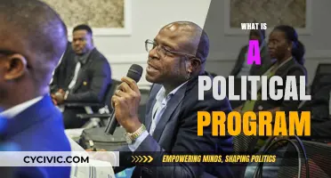 Understanding Political Programs: Goals, Strategies, and Societal Impact Explained