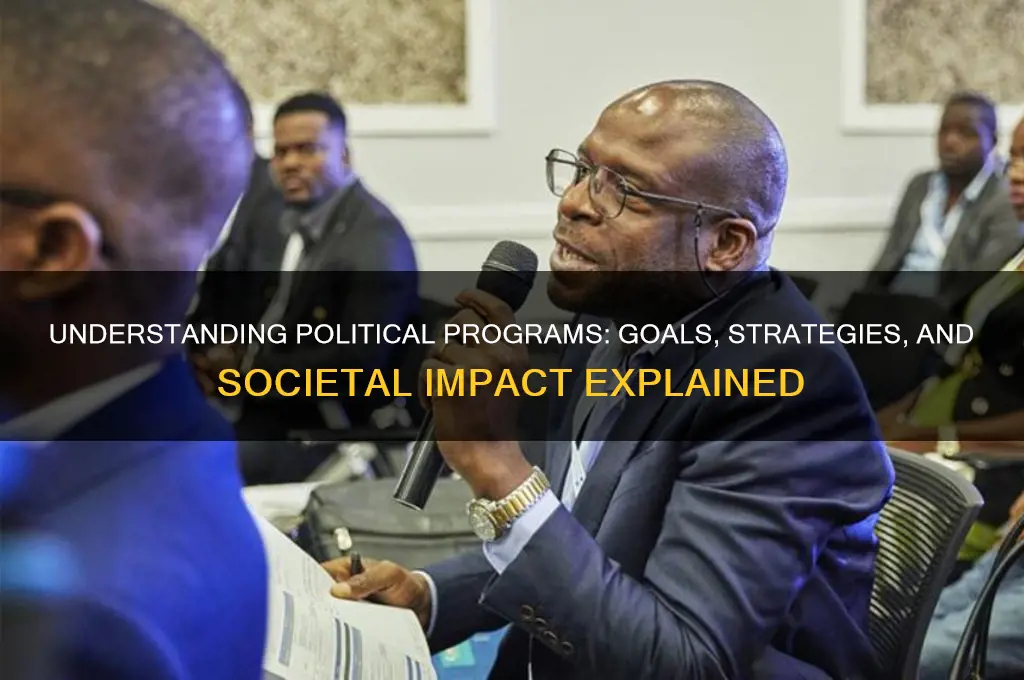 what is a political program