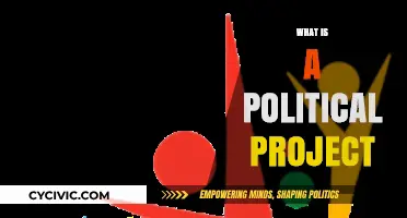 Understanding Political Projects: Goals, Strategies, and Societal Impact Explained