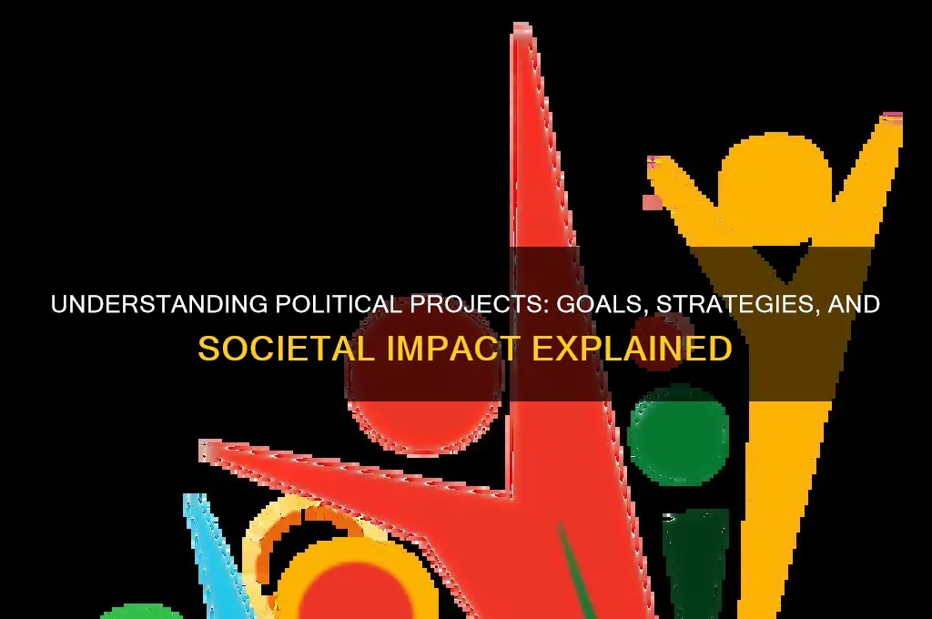 what is a political project
