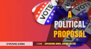 Understanding Political Proposals: Purpose, Structure, and Impact Explained
