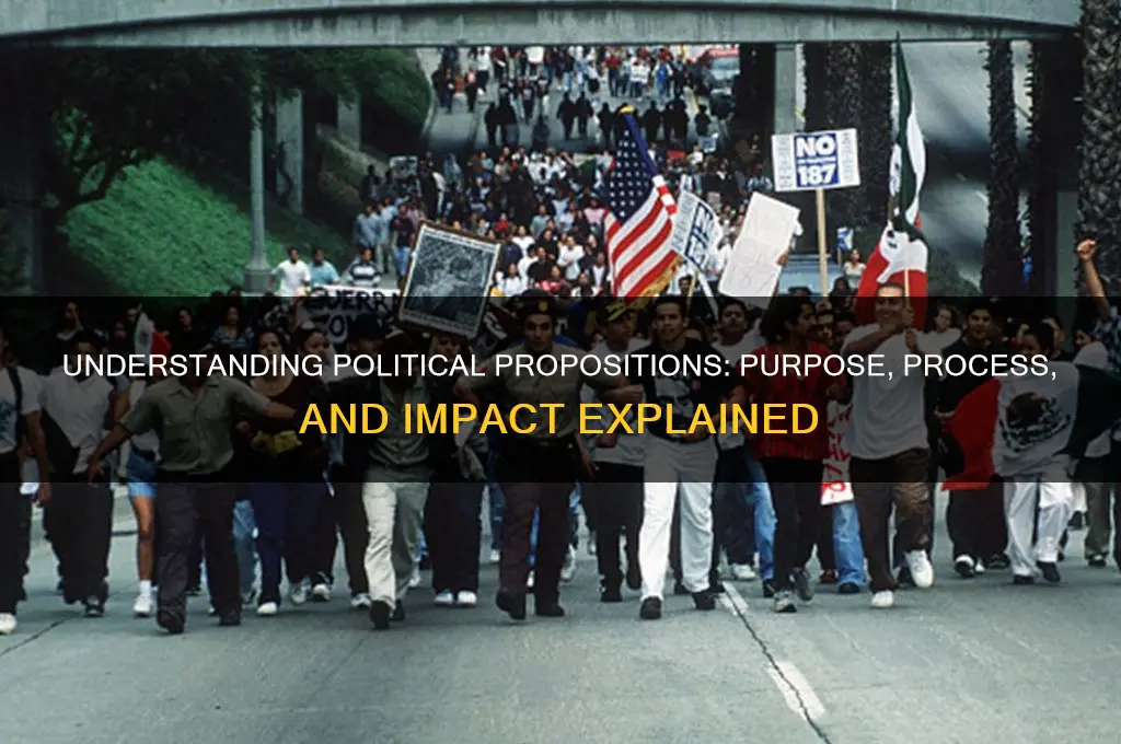 what is a political proposition